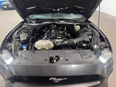 2022 Ford Mustang EcoBoost