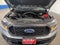 2020 Ford Ranger XL/STX PKG